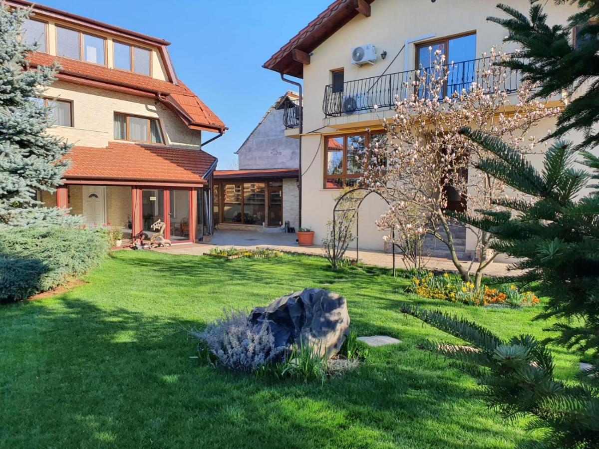 Casa Irinella Bed & Breakfast Satu Mare Exterior photo